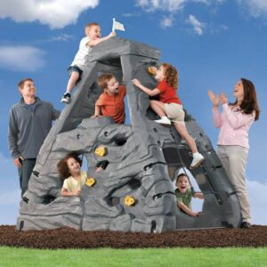 GÓRA WSPINACZKOWA STEP2